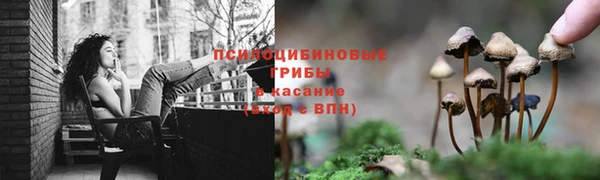 мяу мяу мука Алзамай