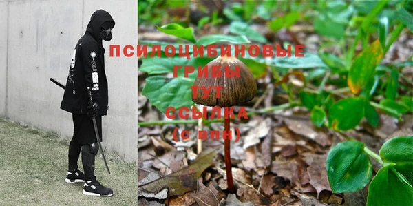 мяу мяу мука Алзамай