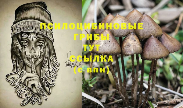 мяу мяу мука Алзамай