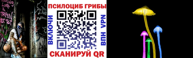 Псилоцибиновые грибы MAGIC MUSHROOMS Заинск