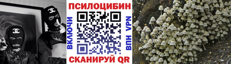 Галлюциногенные грибы GOLDEN TEACHER  darknet клад  Заинск 